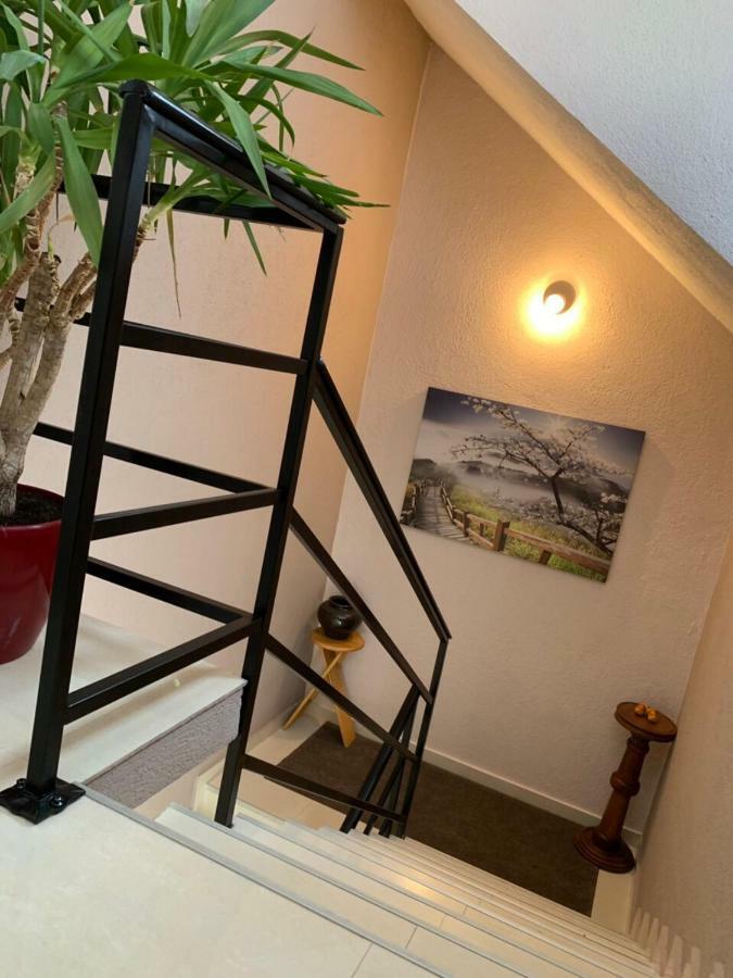 Apartmani Alo Alo Plav Kültér fotó