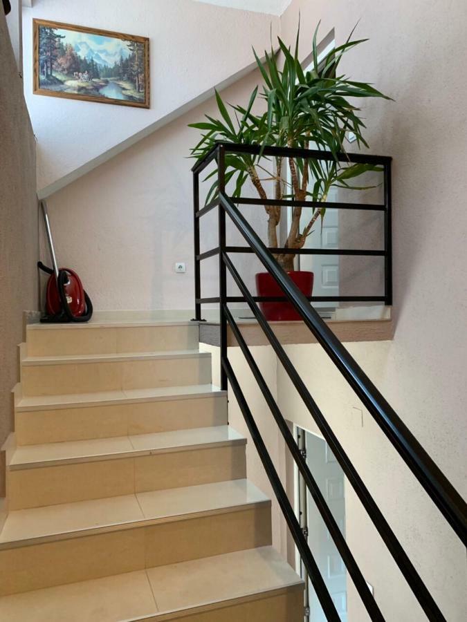 Apartmani Alo Alo Plav Kültér fotó